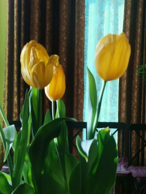 1572252138292482.jpg 微信图片_20191028163233.jpg